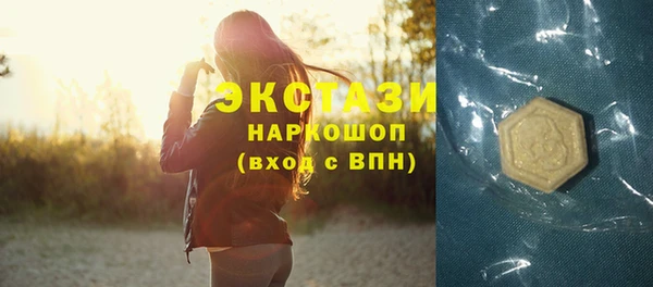 хмурый Арсеньев