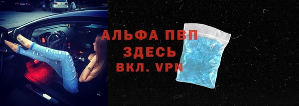 СК Аркадак