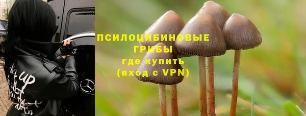 хмурый Арсеньев