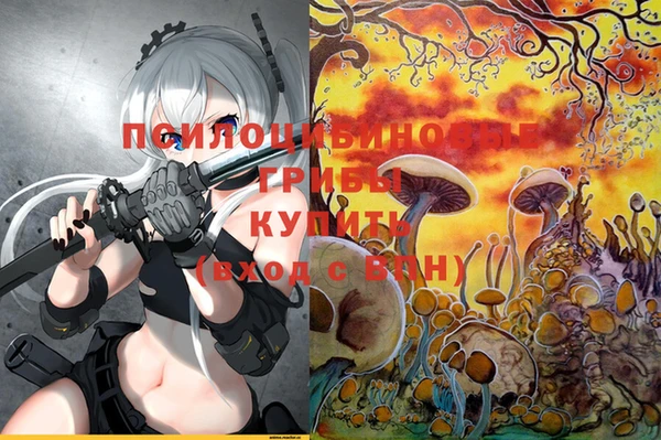 СК Аркадак