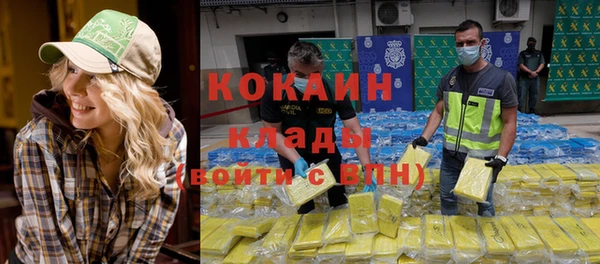 хмурый Арсеньев