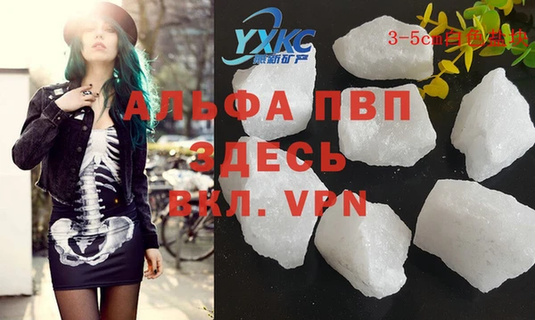 СК Аркадак
