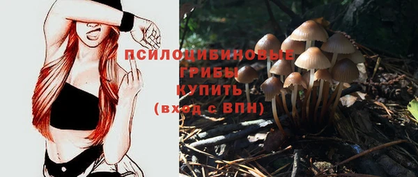 СК Аркадак