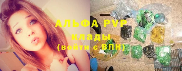 хмурый Арсеньев