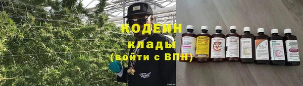 СК Аркадак