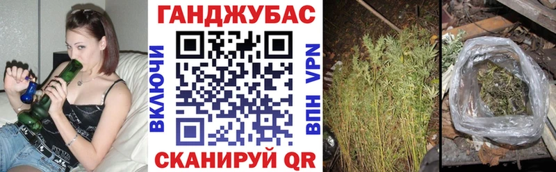 Каннабис планчик  наркота  Сарапул 